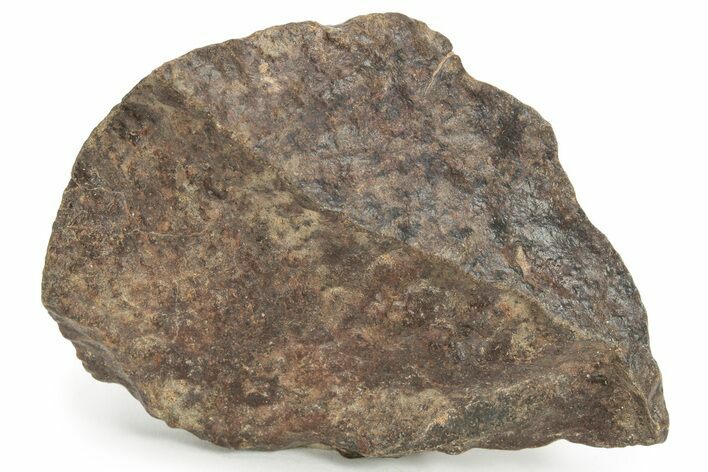 Chondrite Meteorite ( g) - Western Sahara Desert #232951